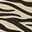tiger Swatch