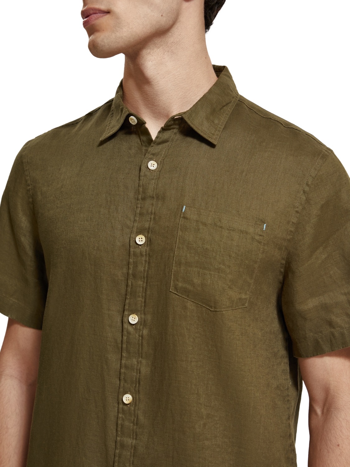 Algae