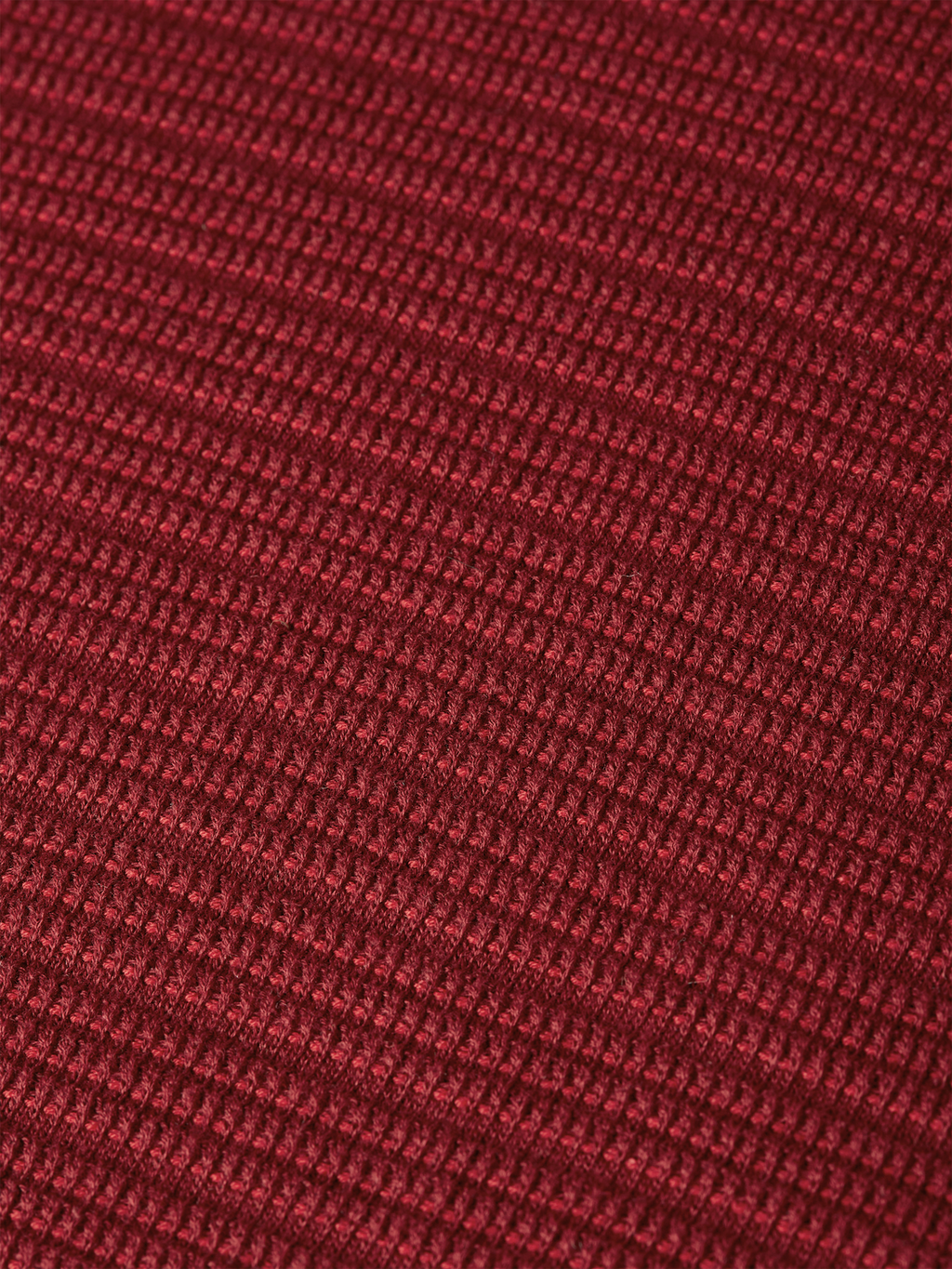 Structured Knitted Regularfit Polo
