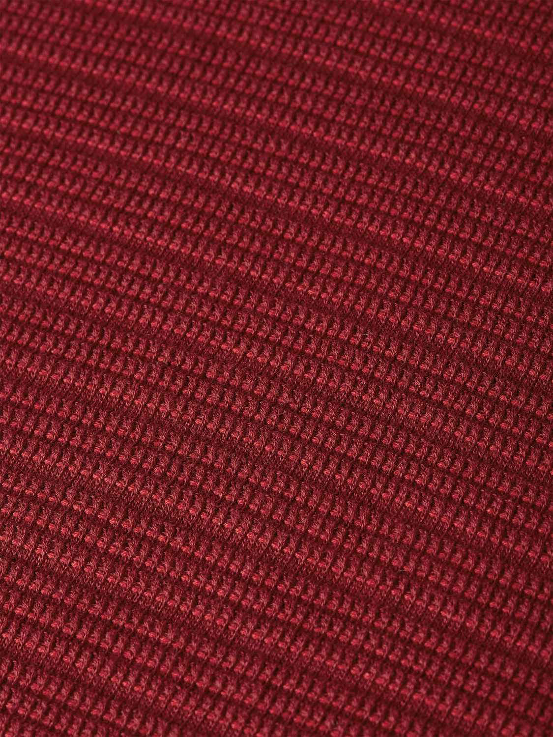 Structured Knitted Regularfit Polo
