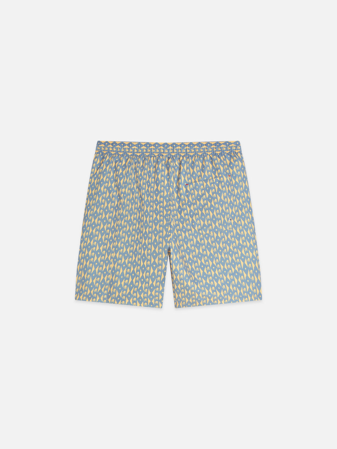 Printed Midlength Swim Shorts