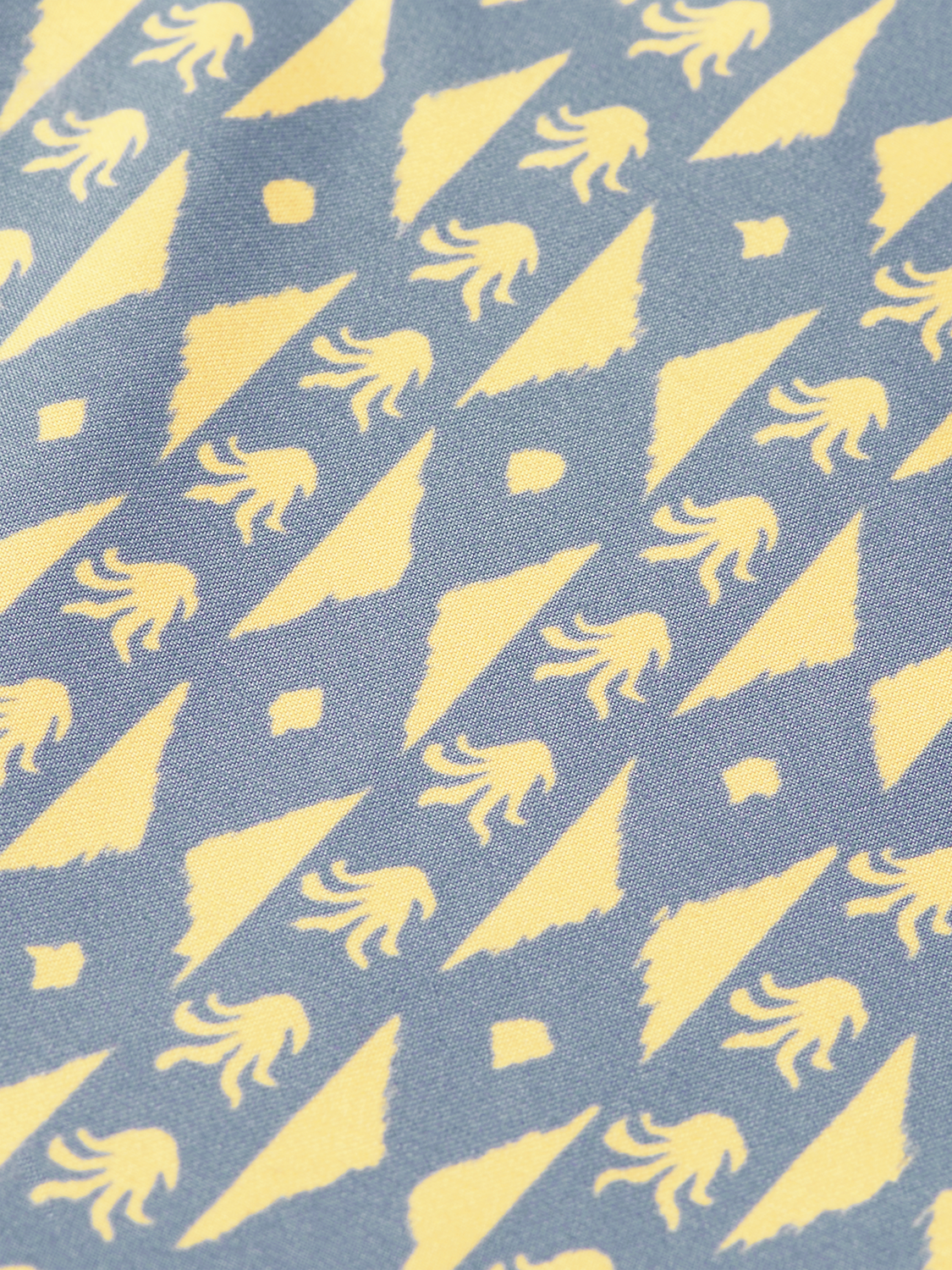 Printed Midlength Swim Shorts