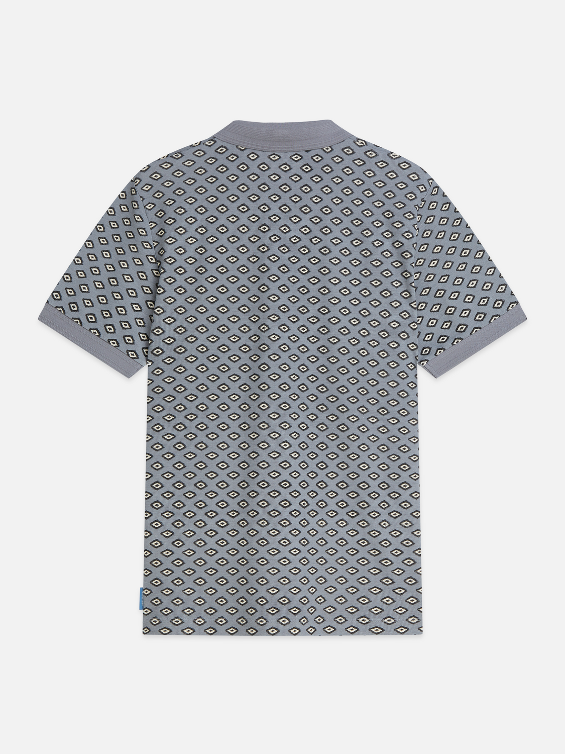Micro-Printed Regular-Fit Polo