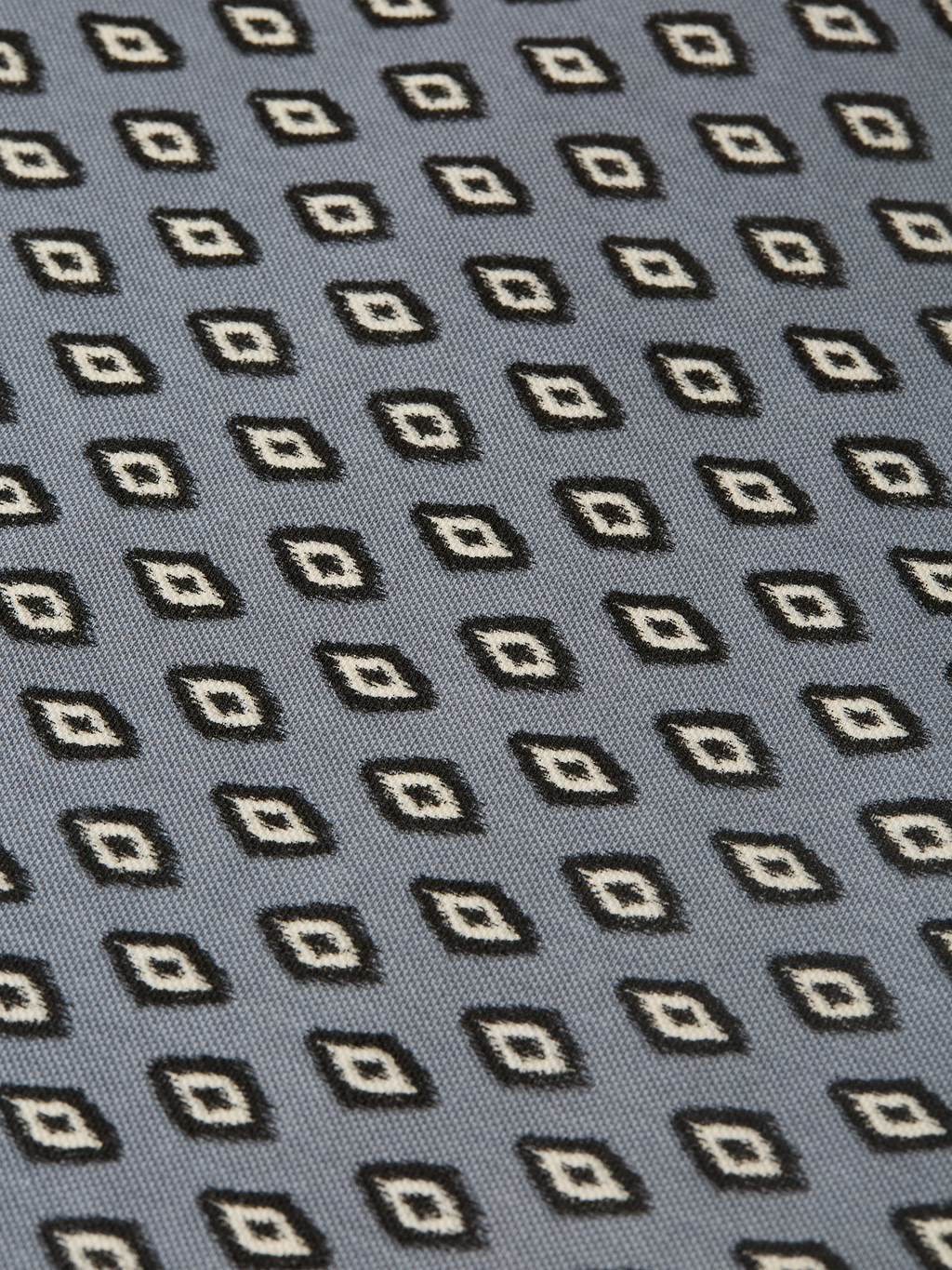 Micro-Printed Regular-Fit Polo