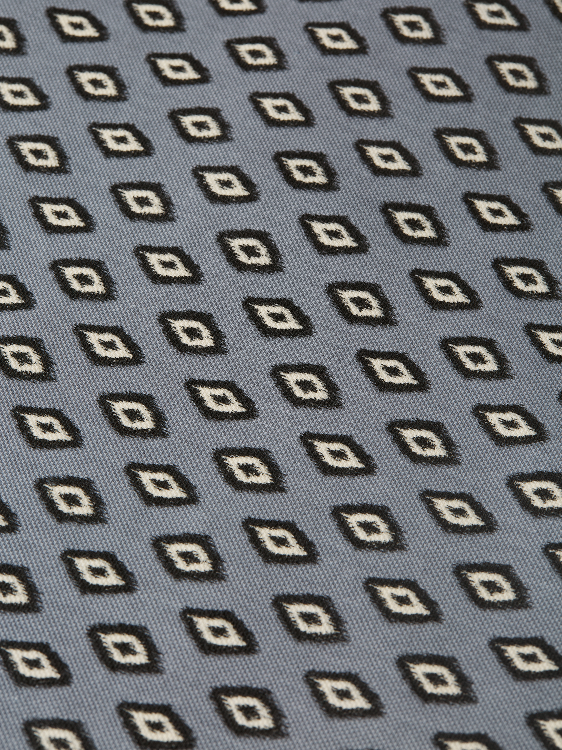 Micro-Printed Regular-Fit Polo