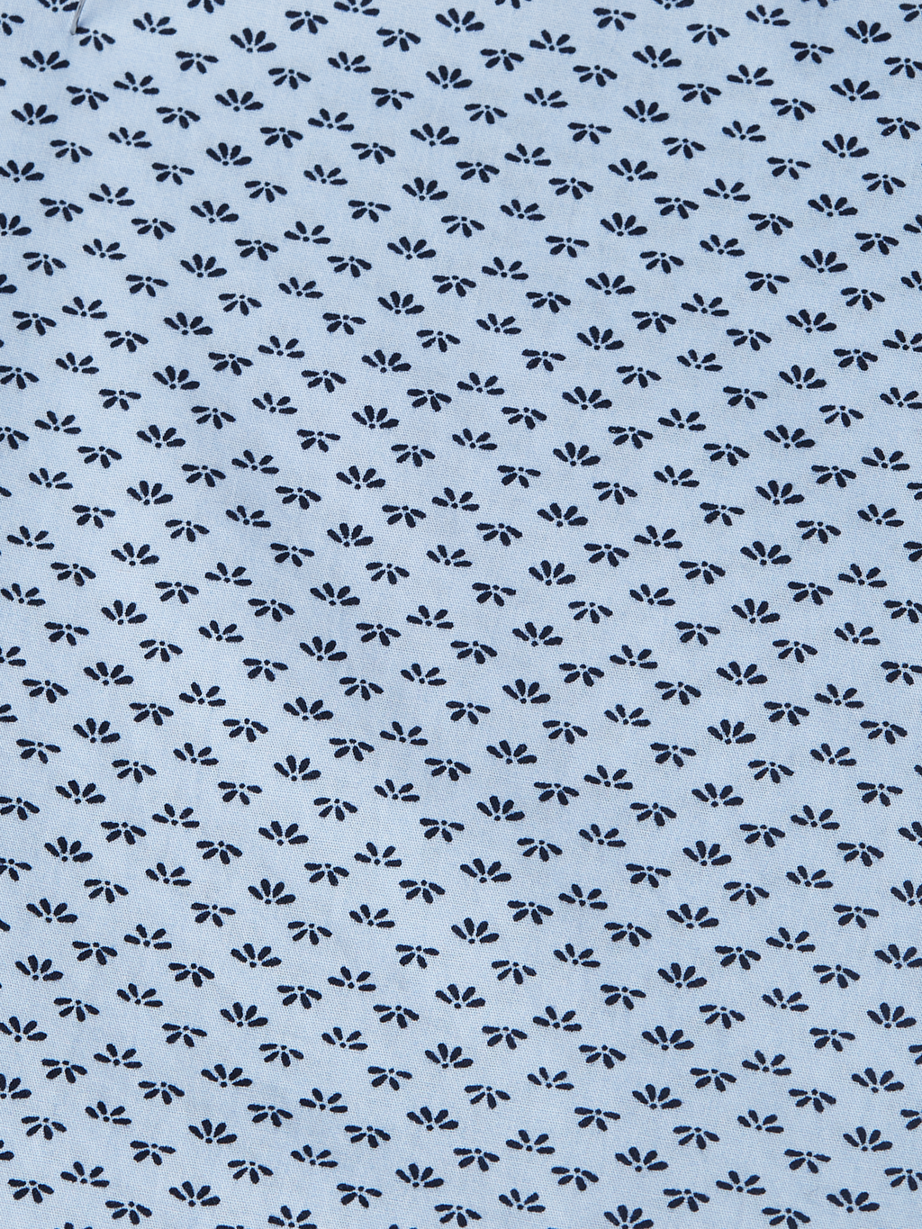 Printed Cotton Poplin Regular-Fit Shirt