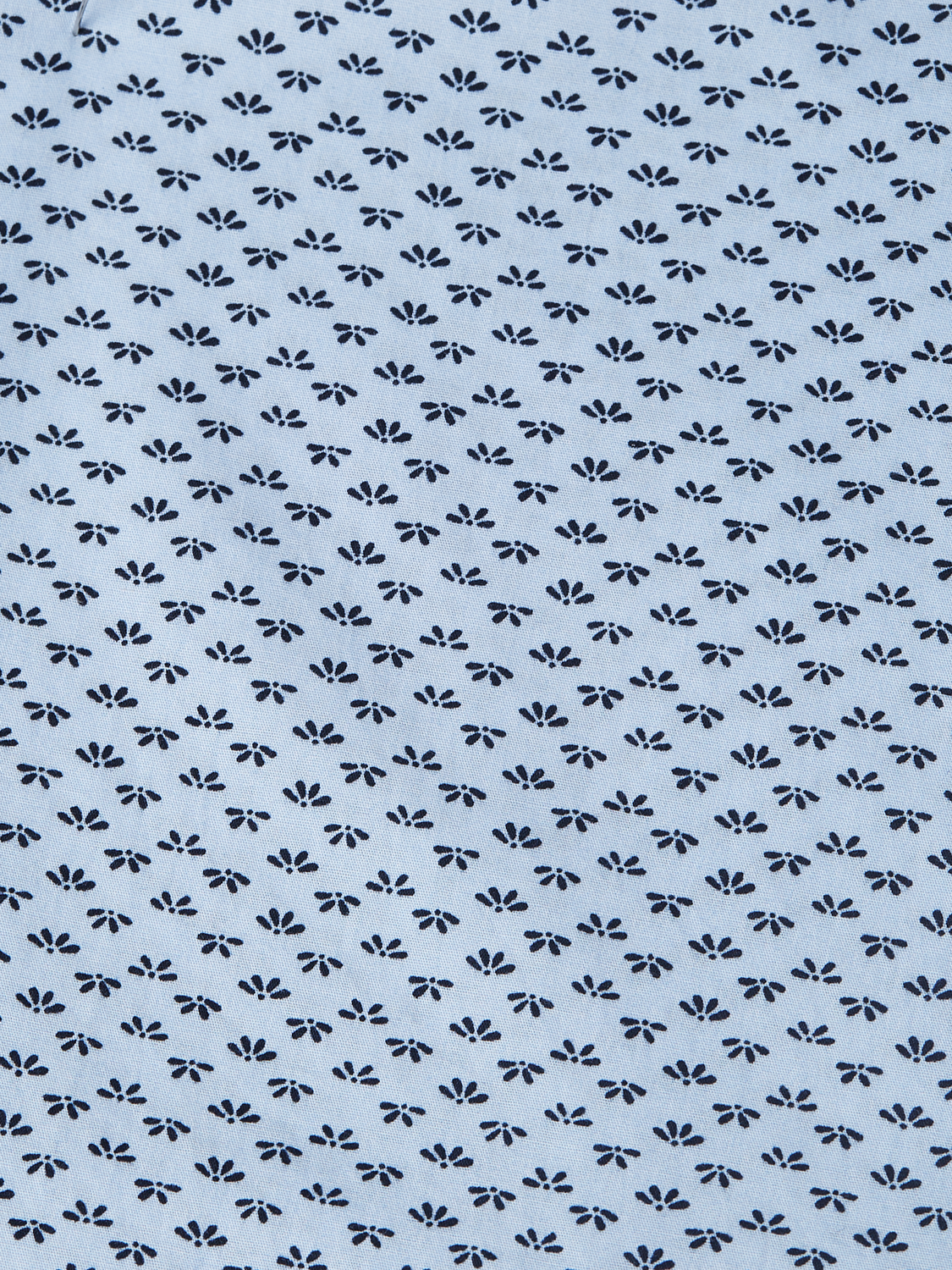 Printed Cotton Poplin Regular-Fit Shirt