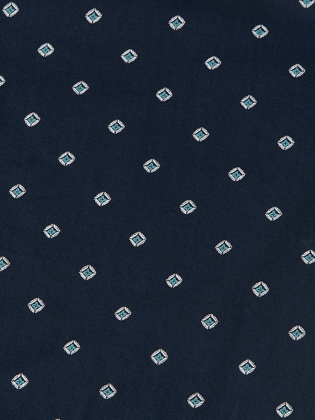 Printed Cotton Poplin Regular-Fit Shirt