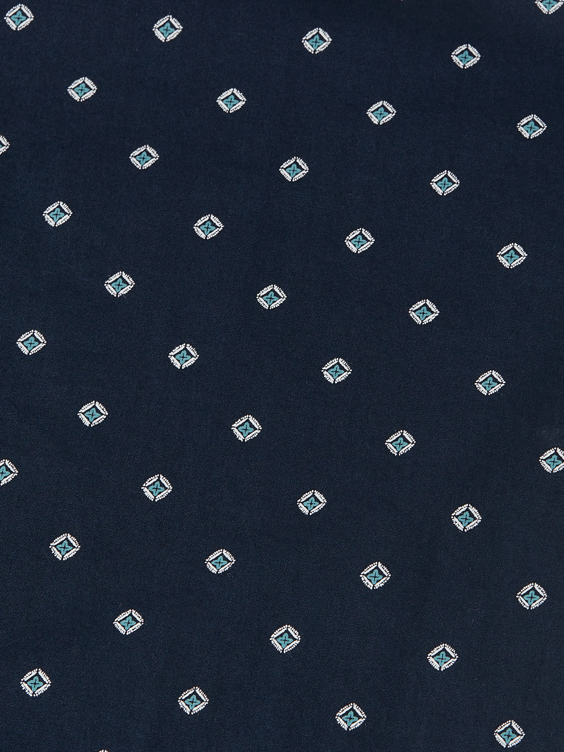 Printed Cotton Poplin Regular-Fit Shirt