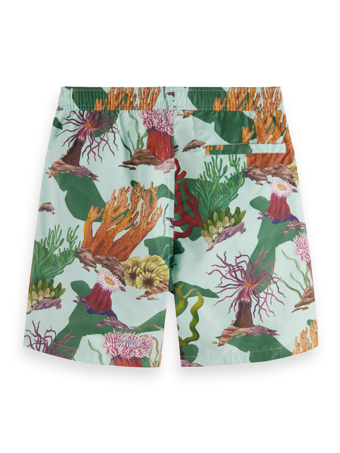 Coral Reef AOP