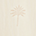 Shell Swatch