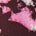 Winter Floral Swatch