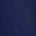 Navy Swatch