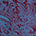Blue Mountain Paisley Lake Blue Swatch
