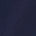 Navy Swatch
