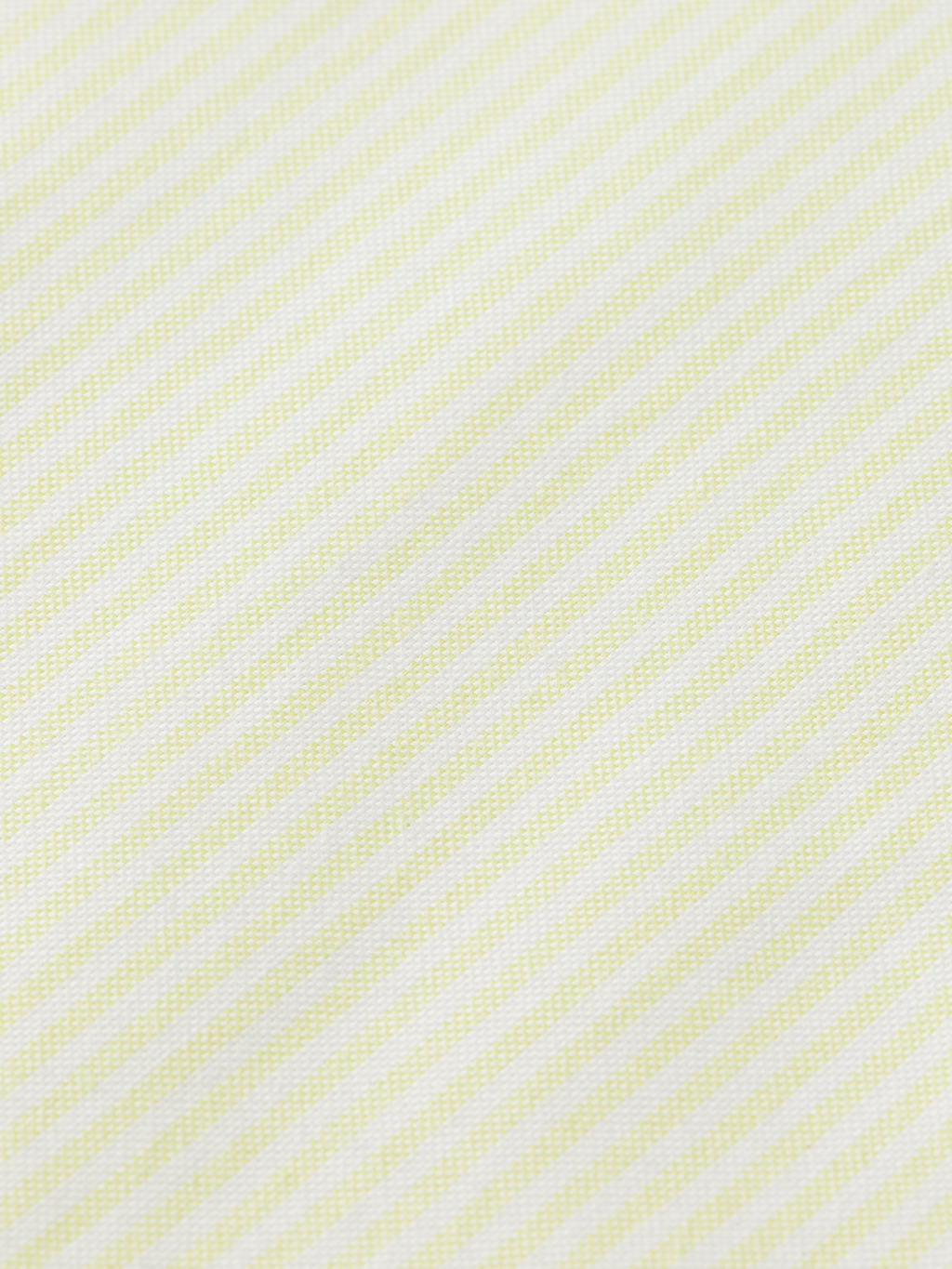 Regular Fit Stripe Oxford Shirt