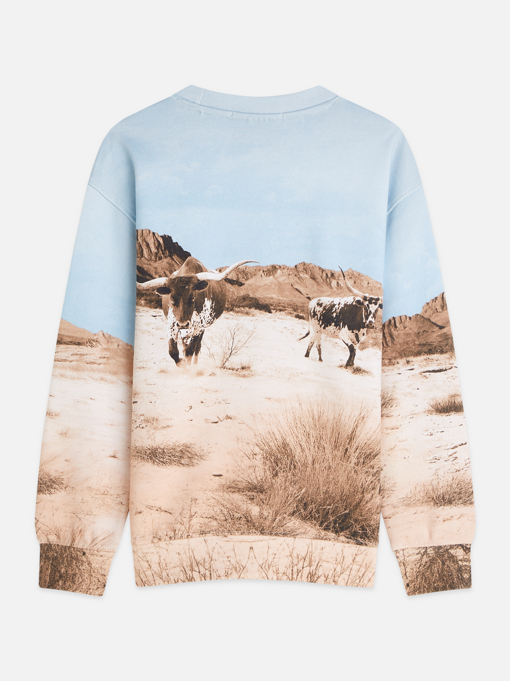 Photoprint Artwork Relaxedfit Sweatshirt