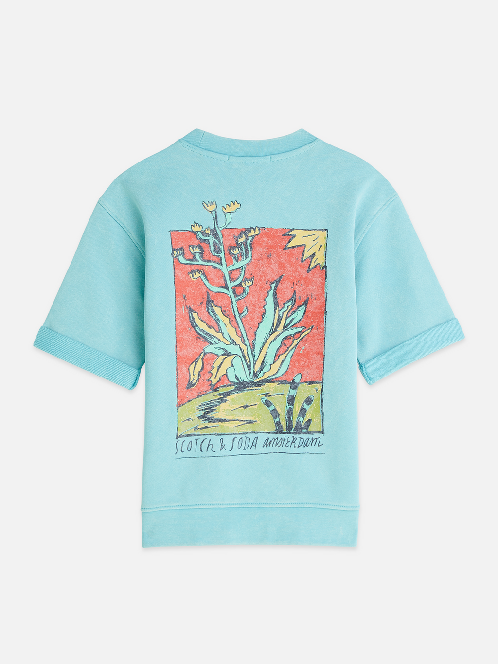 Front And Back Artwork Shortsleeve Washed Sweatshirt