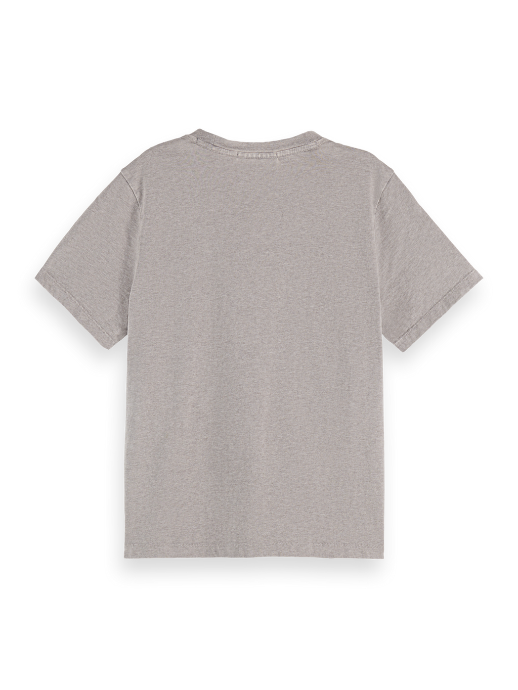 Washed Regular Fit T-Shirt With Graphic