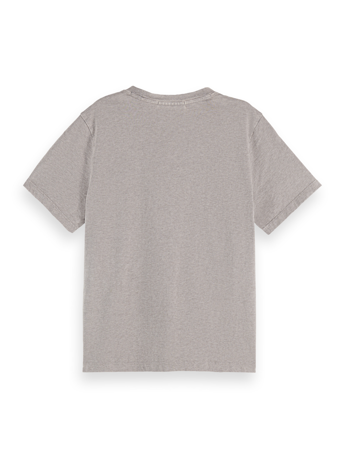 Washed Regular Fit T-Shirt With Graphic