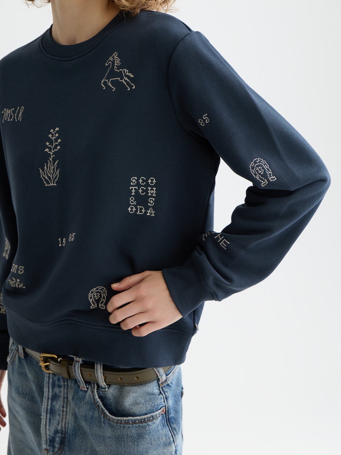 Besticktes Regular-Fit-Sweatshirt