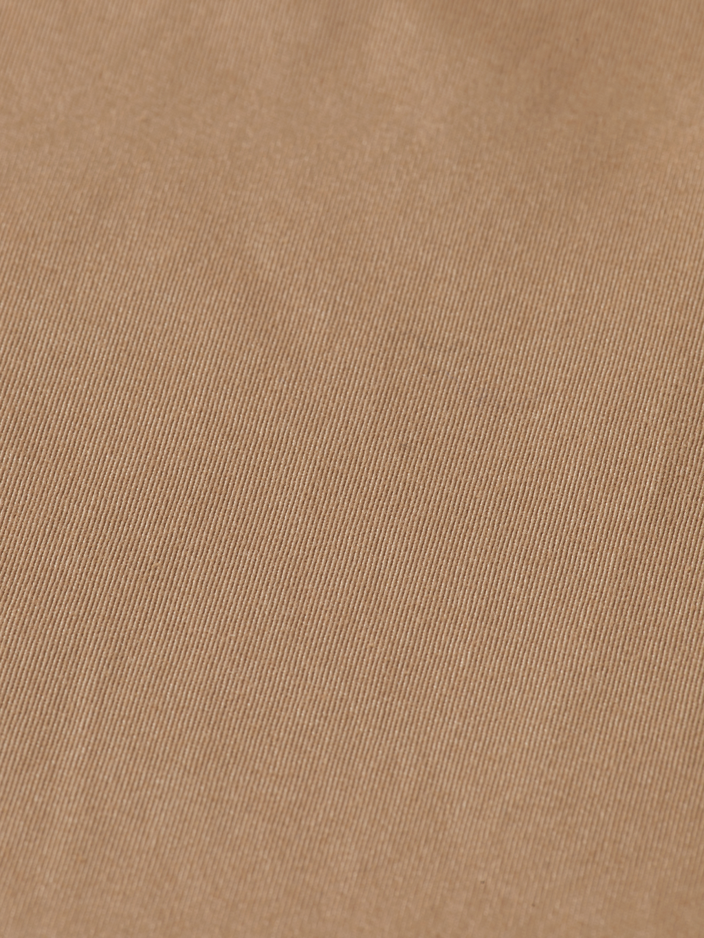 Core Abott Chino Pant