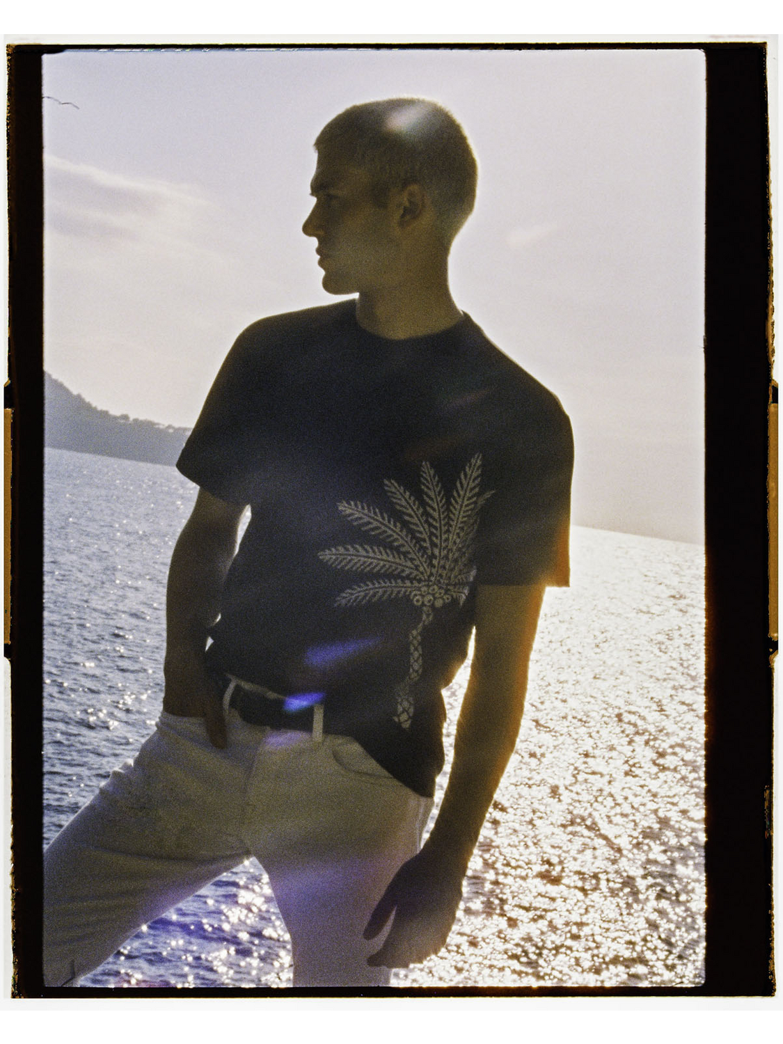 Palm Tree Embroidery T-Shirt