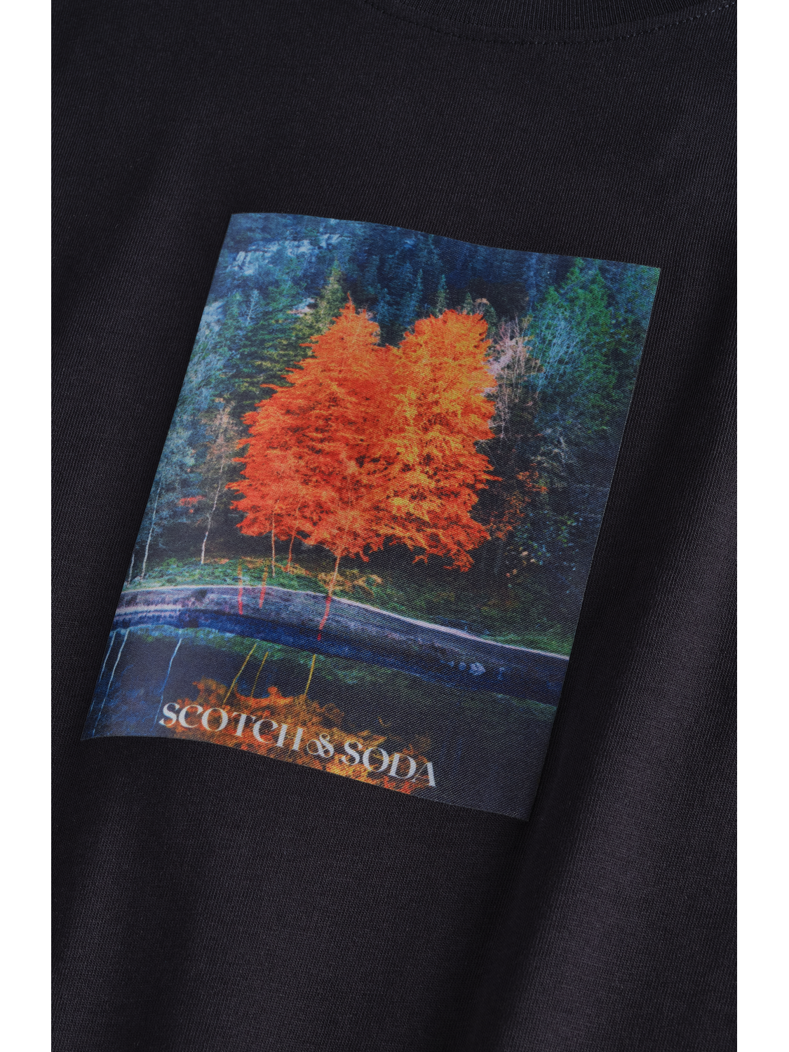 Graphic Tee