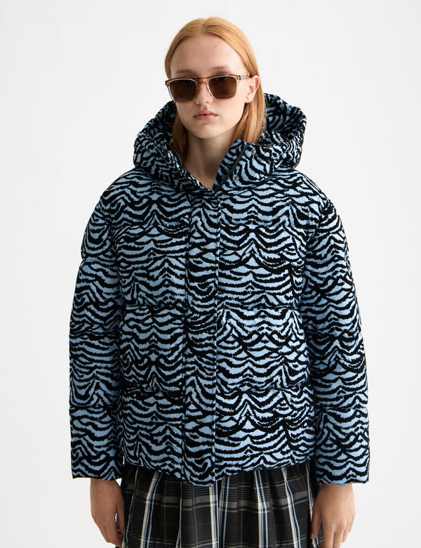 Hooded puffer