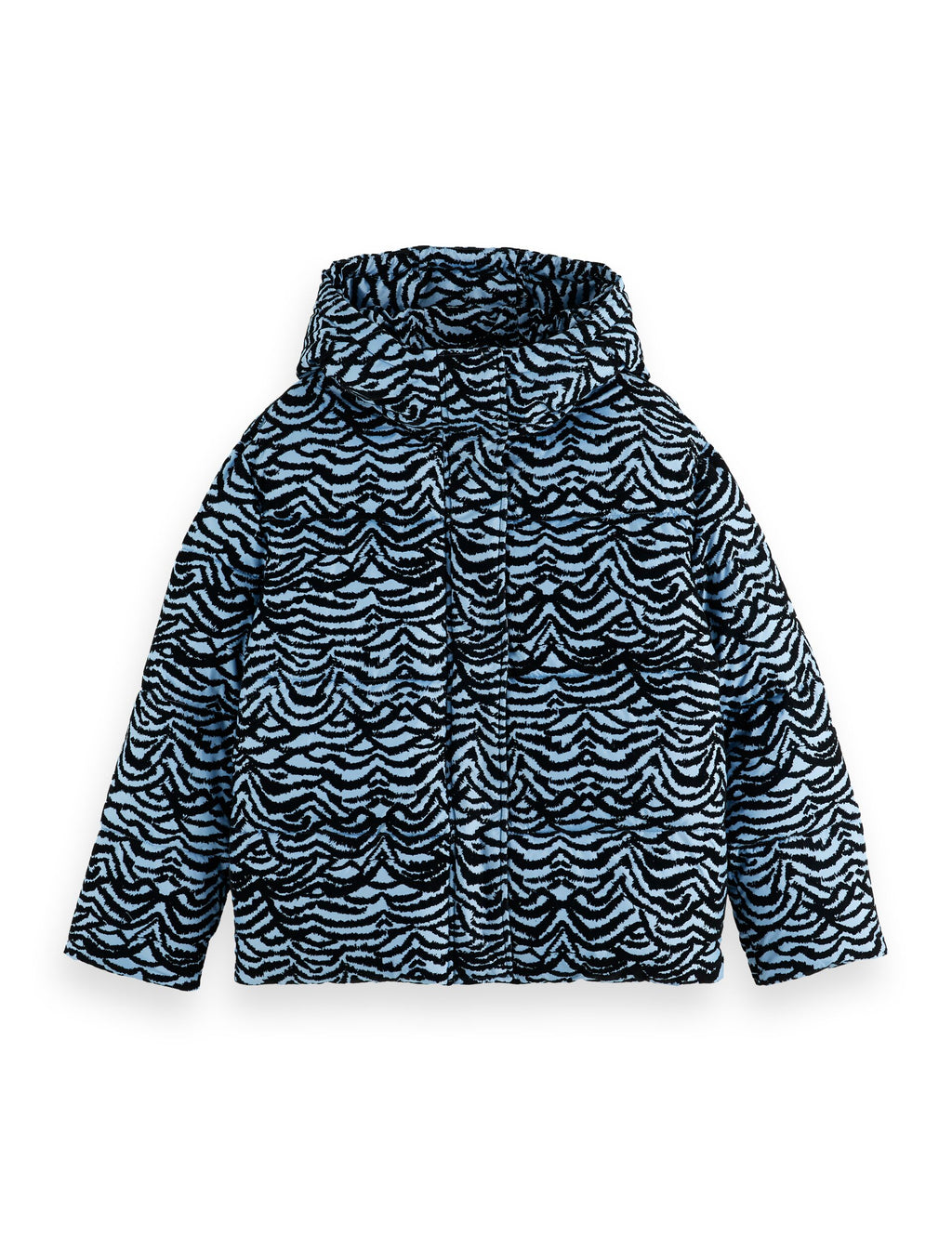 Hooded puffer