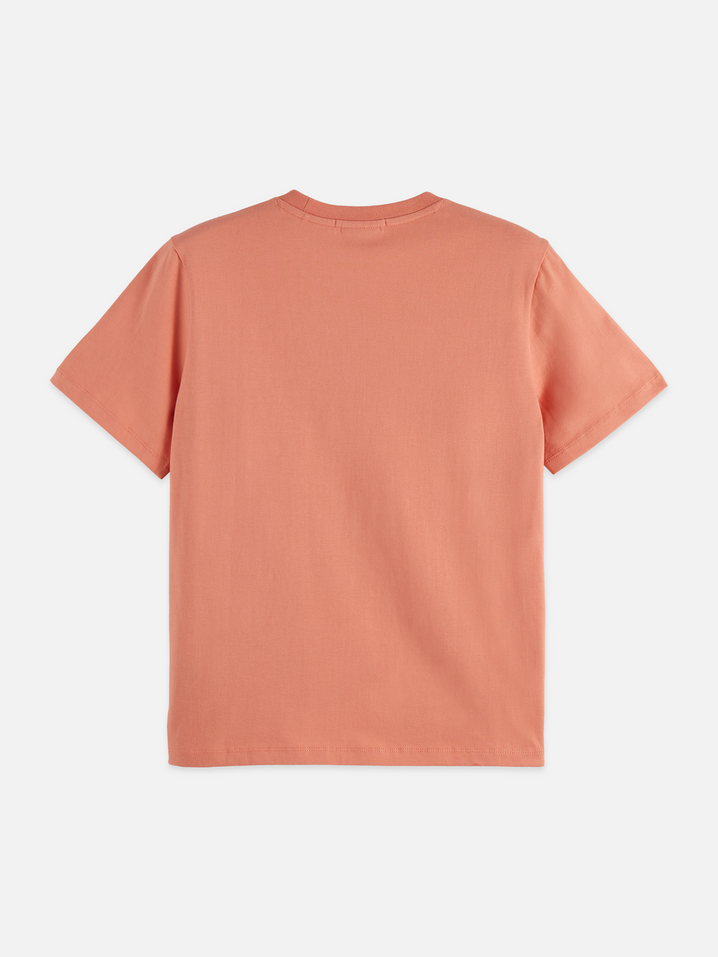 Regular Fit T-Shirt With Chest Artwork