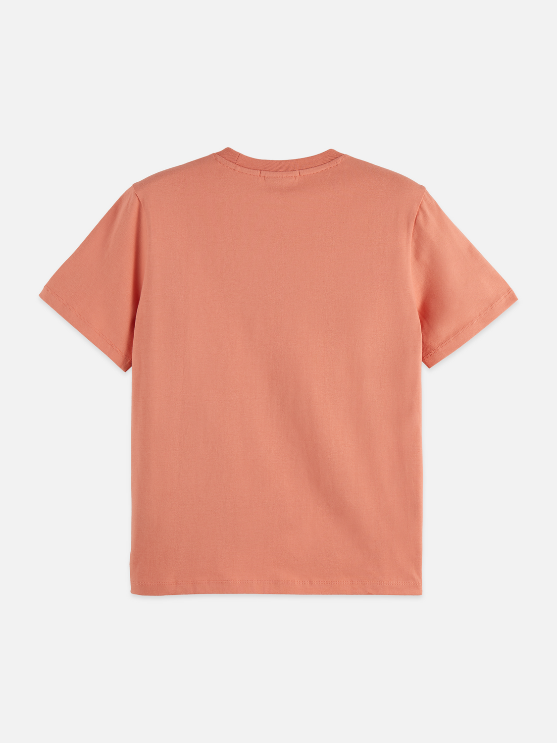 Regular Fit T-Shirt With Chest Artwork