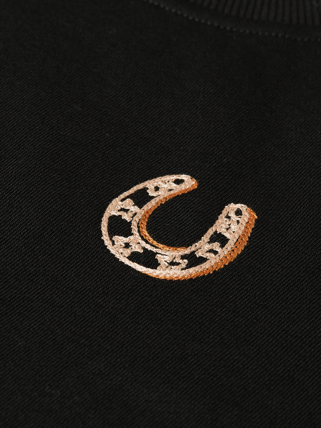 Embroidered Regular-Fit Sweatshirt