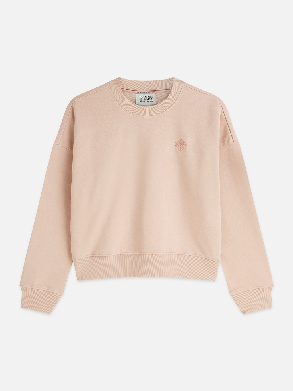 Embroidered Logo Relaxed-Fit Sweatshirt