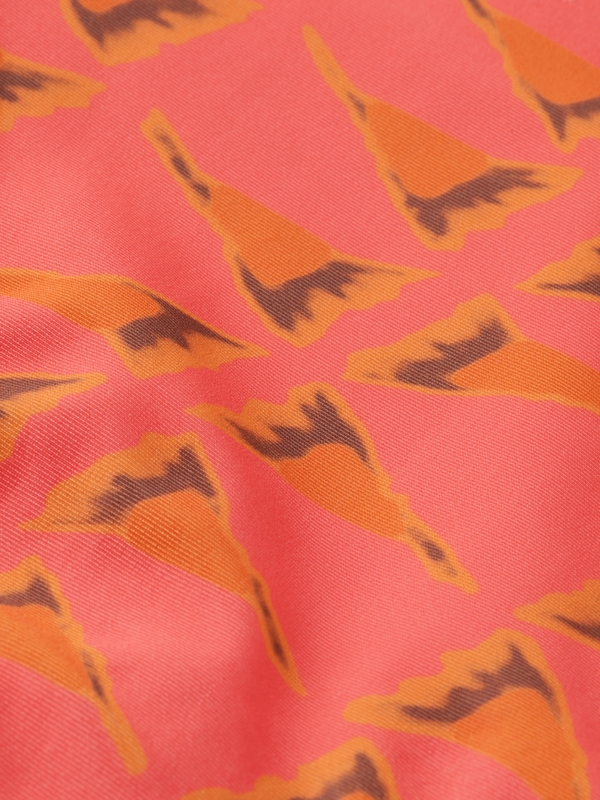 Reversible Printed Bikini Bottom