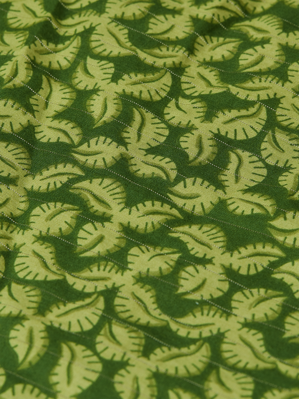 Printed Cotton Shorts
